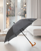 Men's Republic Pin-Stripe Umbrellas in Floor Standing PDQ (Asst set of 9)